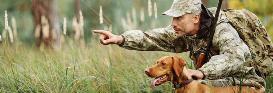 Chien de chasse