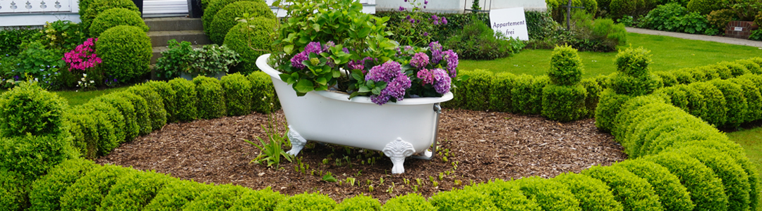 Paysagisme intérieur